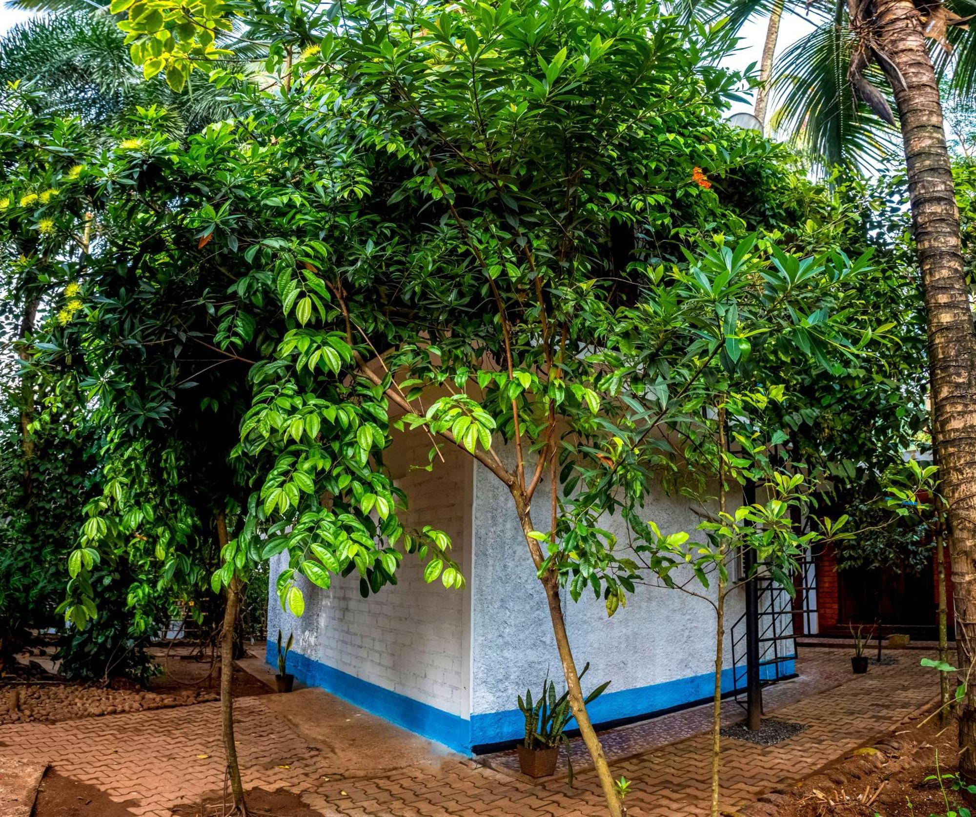 Jays Place Matale Kawudupelella エクステリア 写真